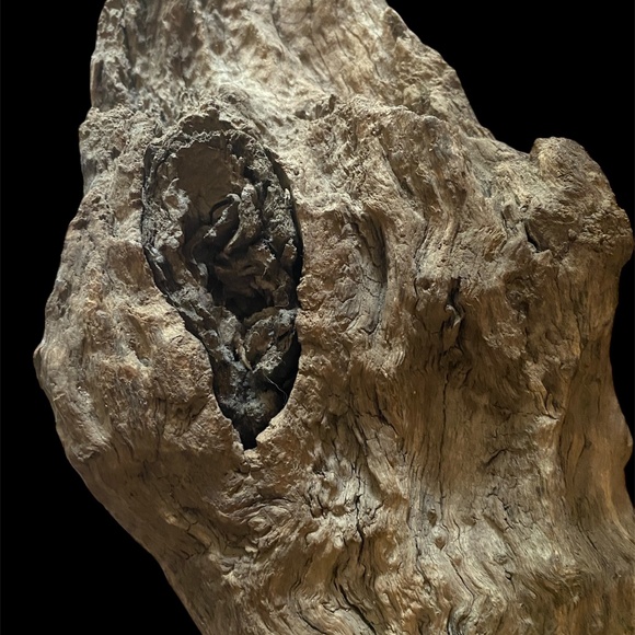 VTG Hand Carved Wood Coastal Bird Sculpture Driftwood Heron Whimbrel Cormorant - Picture 13 of 13